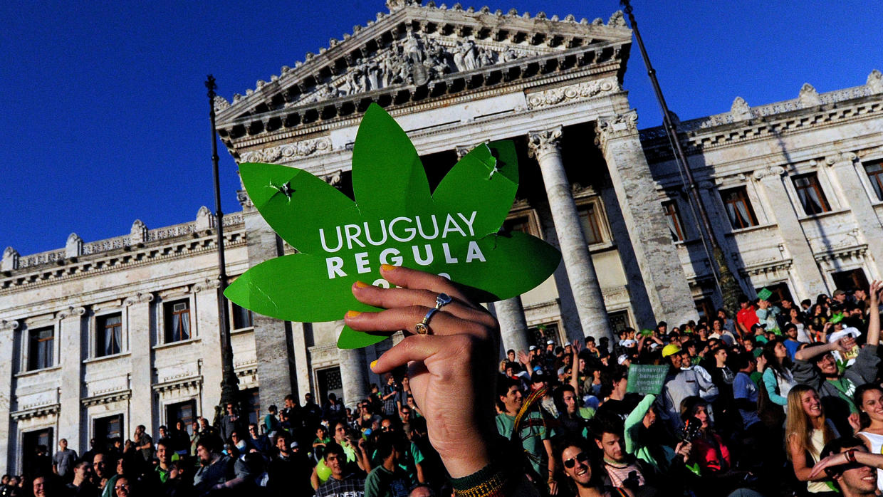 Inicia Uruguay registro de consumidores legales de marihuana