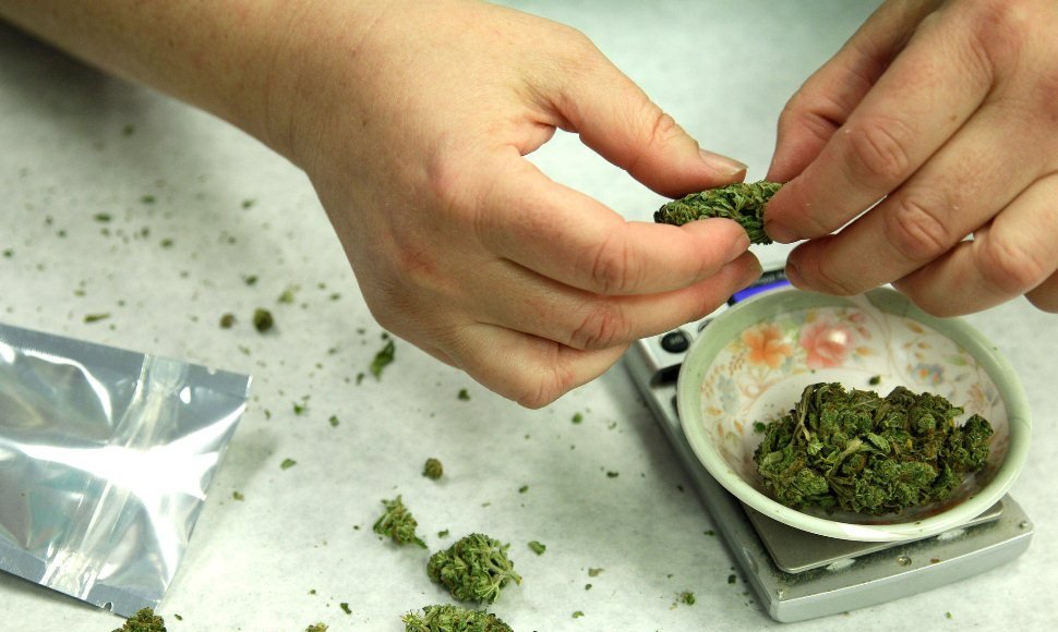 Legalizan uso medicinal y científico de la marihuana a partir de hoy