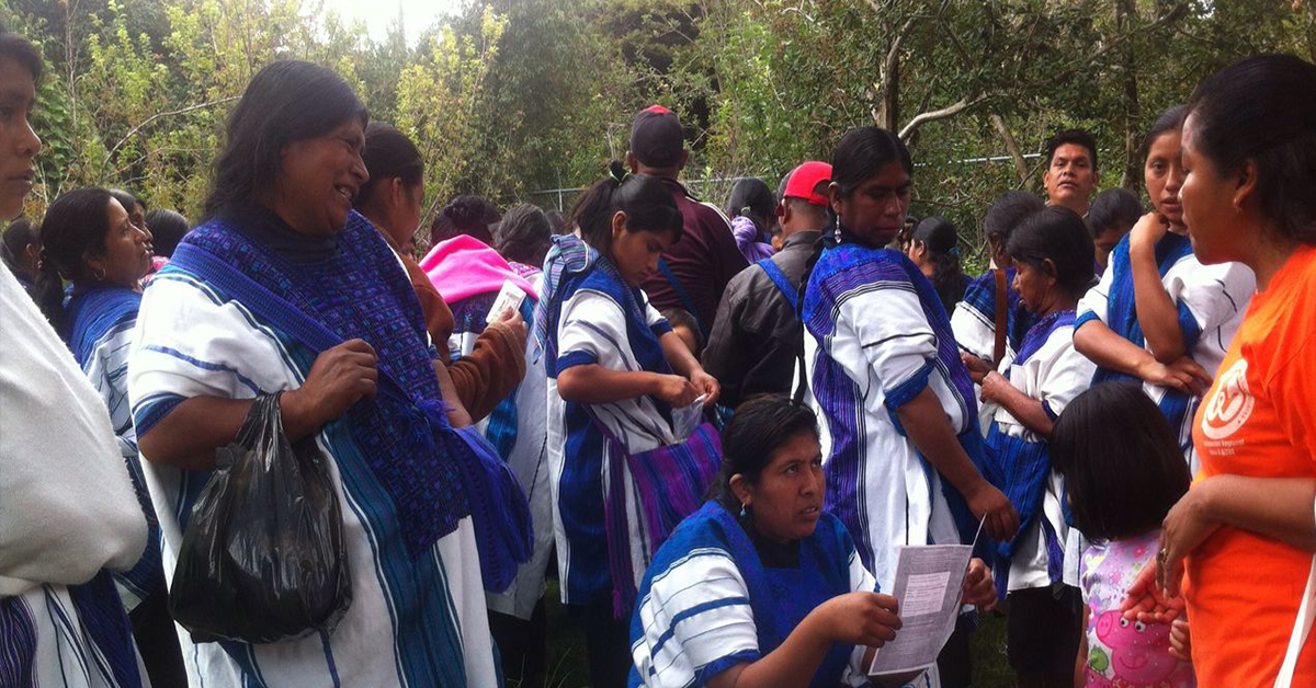 Interpondrán indígenas tzeltales juicio ante Tribunal Electoral de Chiapas