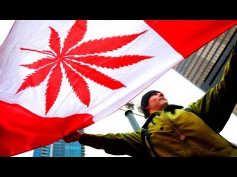 Cápsula Mirada Crítica -  Legalización de la marihuana en Canadá - 23/oct/2018