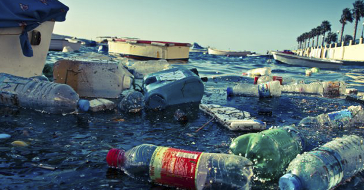 En 20 años habrá más plástico que seres vivos en los océanos: Greenpeace