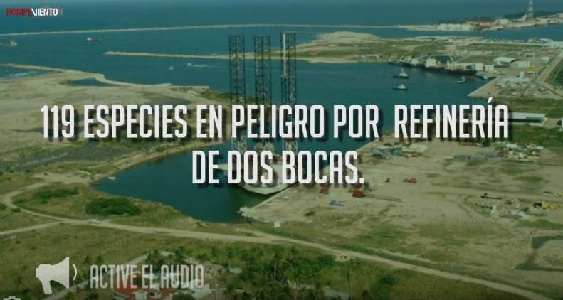 119 especies en peligro por refinería de Dos Bocas