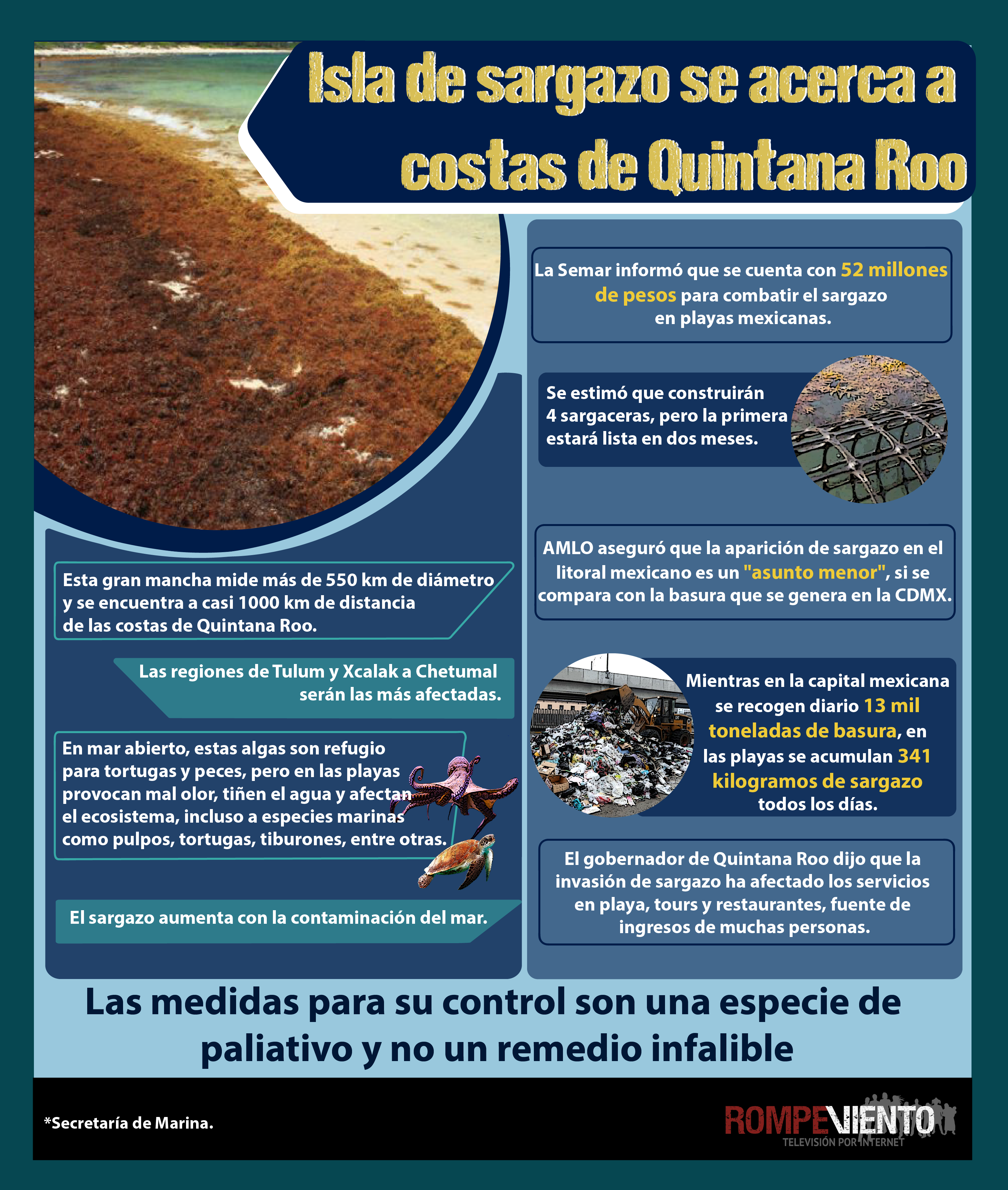 Isla de sargazo se acerca a costas de Quintana Roo
