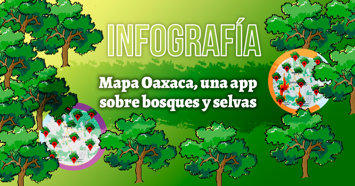 Mapa Oaxaca, una app sobre bosques y selvas
