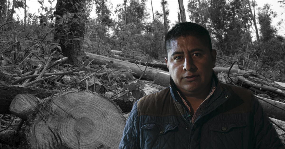 Misael Zamora, criminalizado por defender el bosque en Edomex