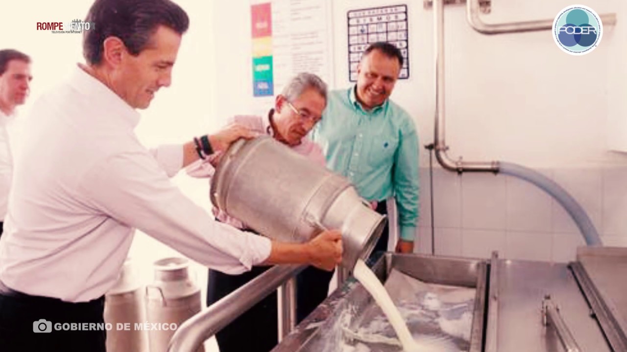 México favorece a empresas multinacionales que producen leche