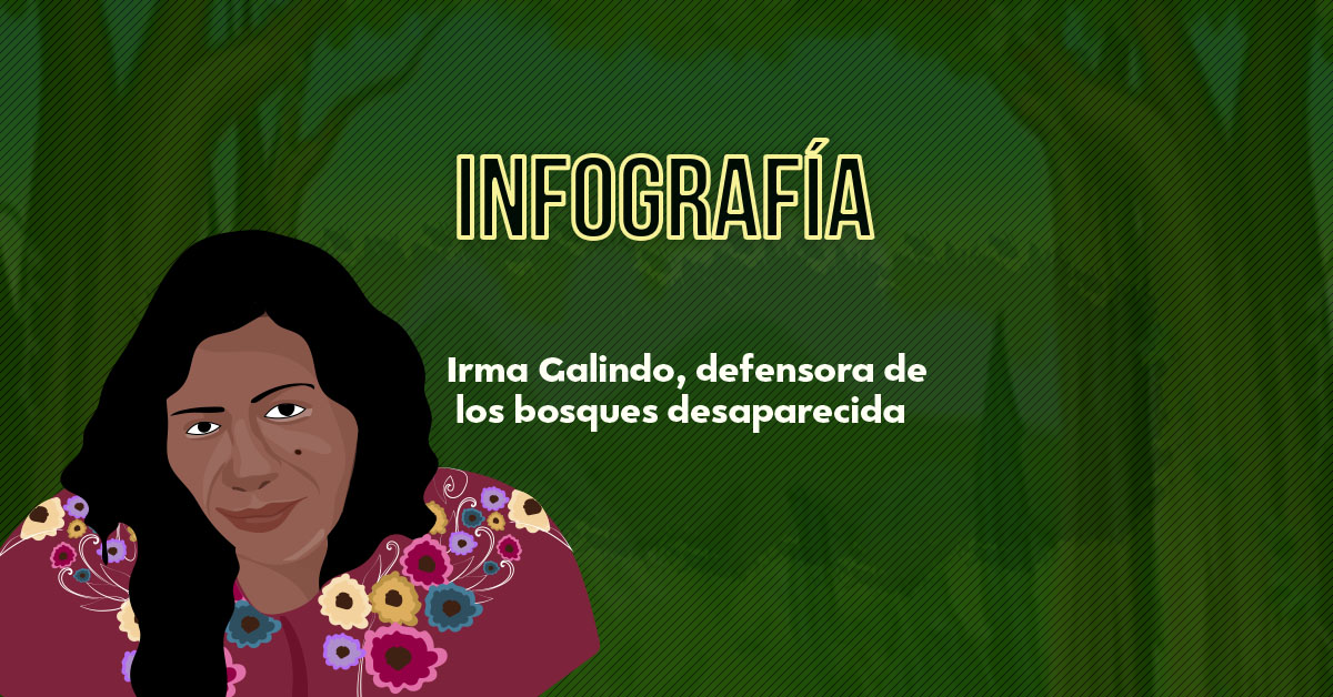 Irma Galindo, defensora de los bosques desaparecida