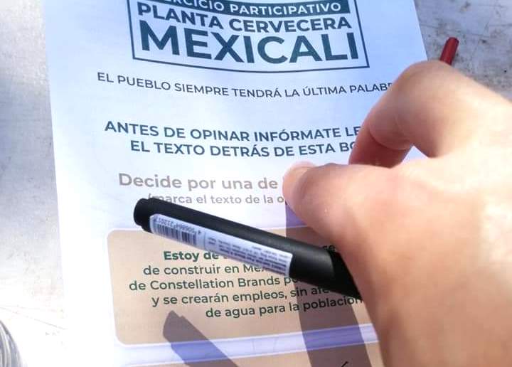 El primer día de consulta en Mexicali el 68.3 % dice no a Constellation Brands