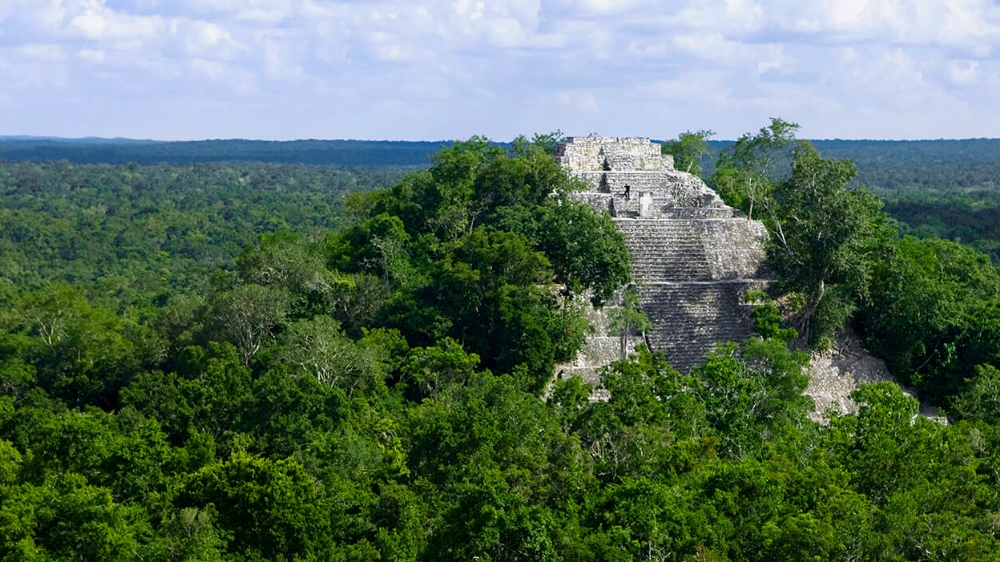 Conceden suspensión definitiva del Tren Maya, pero solo en la zona de Calakmul