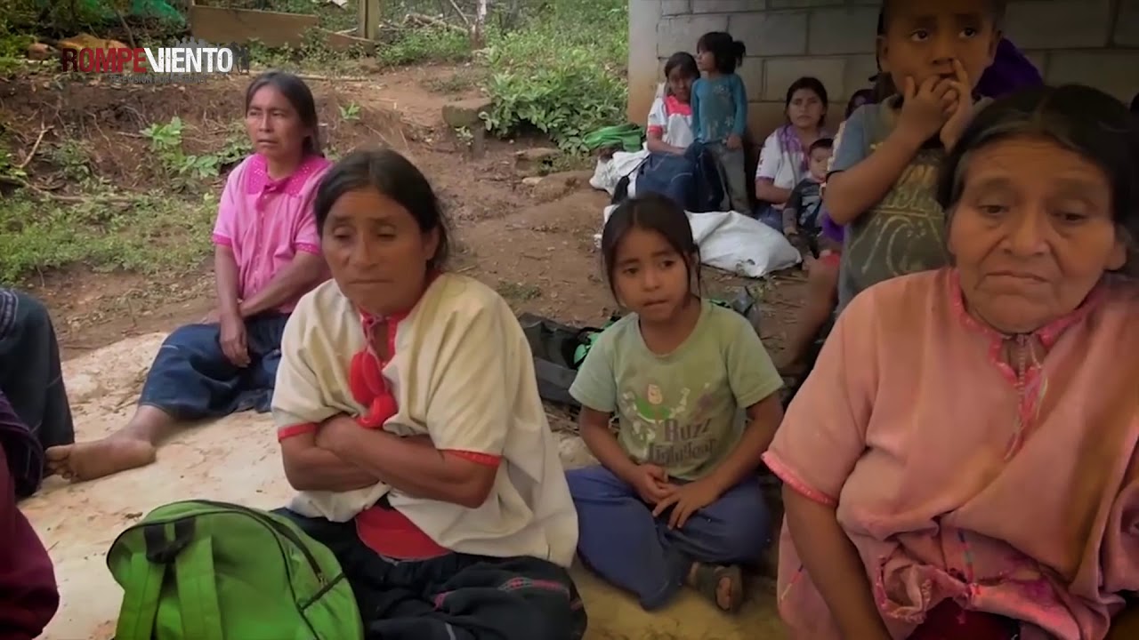 Desplazados en Chiapas: entre la COVID-19 y la hambruna