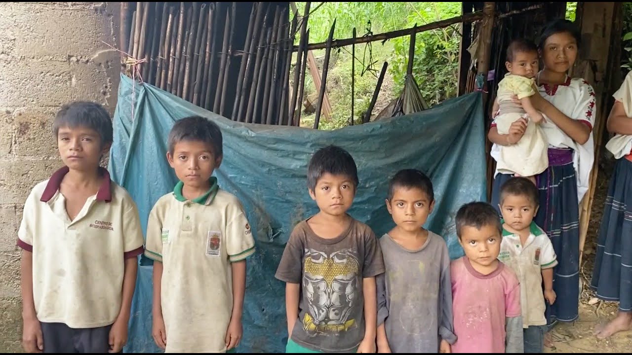 Las niñas y los niños de Aldama, Chiapas: reportaje especial