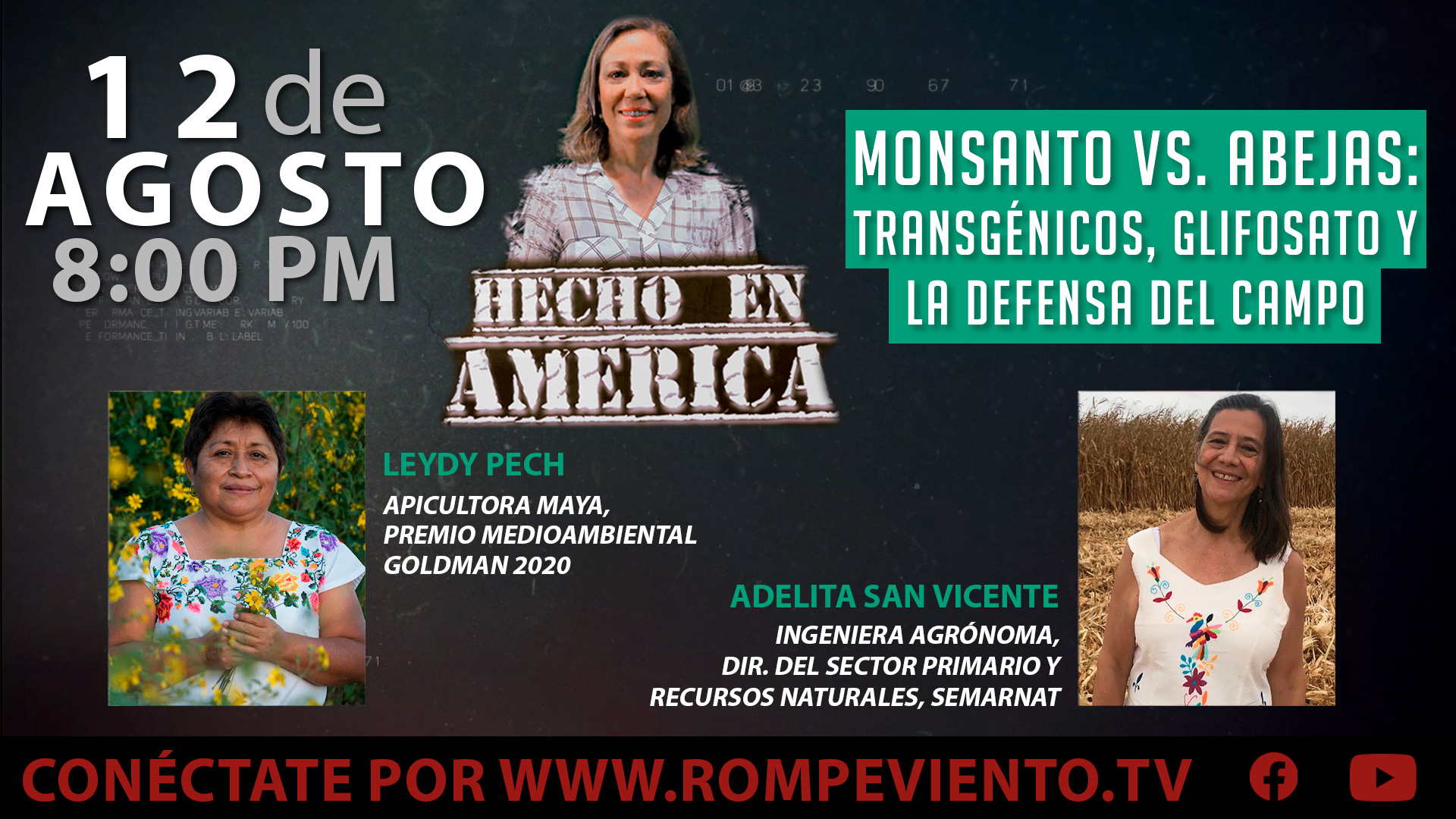 Monsanto vs. Abejas: Transgénicos, glifosato y la defensa del campo - Hecho en América