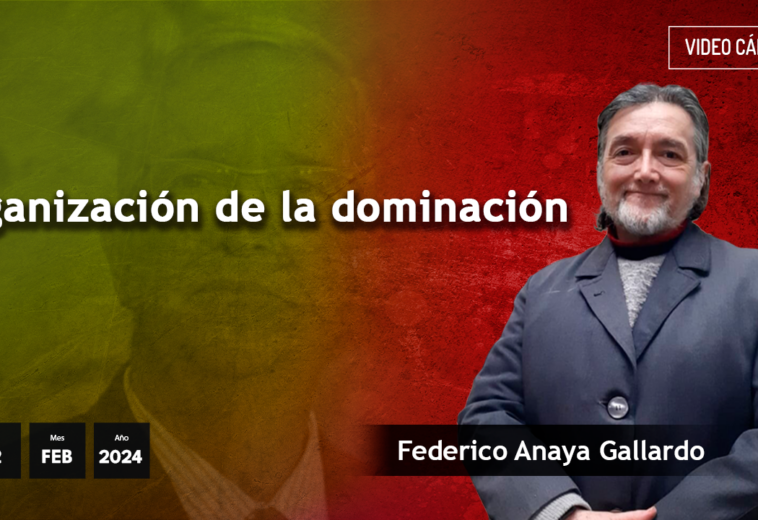Organización de la dominación - #VideoOpinión de Federico Anaya